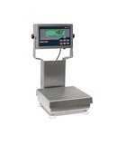 Rice Lake CW-90XB Ready-n-Weigh IP69K Bench Scale System