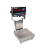 Rice Lake CW-90XB Ready-n-Weigh IP69K Bench Scale System